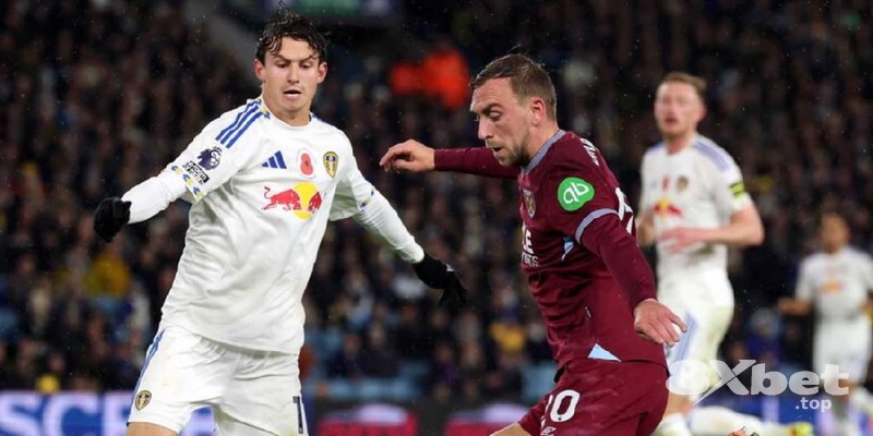 8xbet - w88 đá gà
